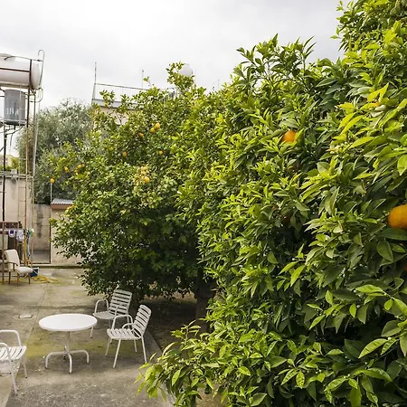 Trip Yard Campingplatz Limassol