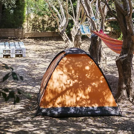 Trip Yard